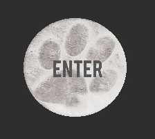 enter